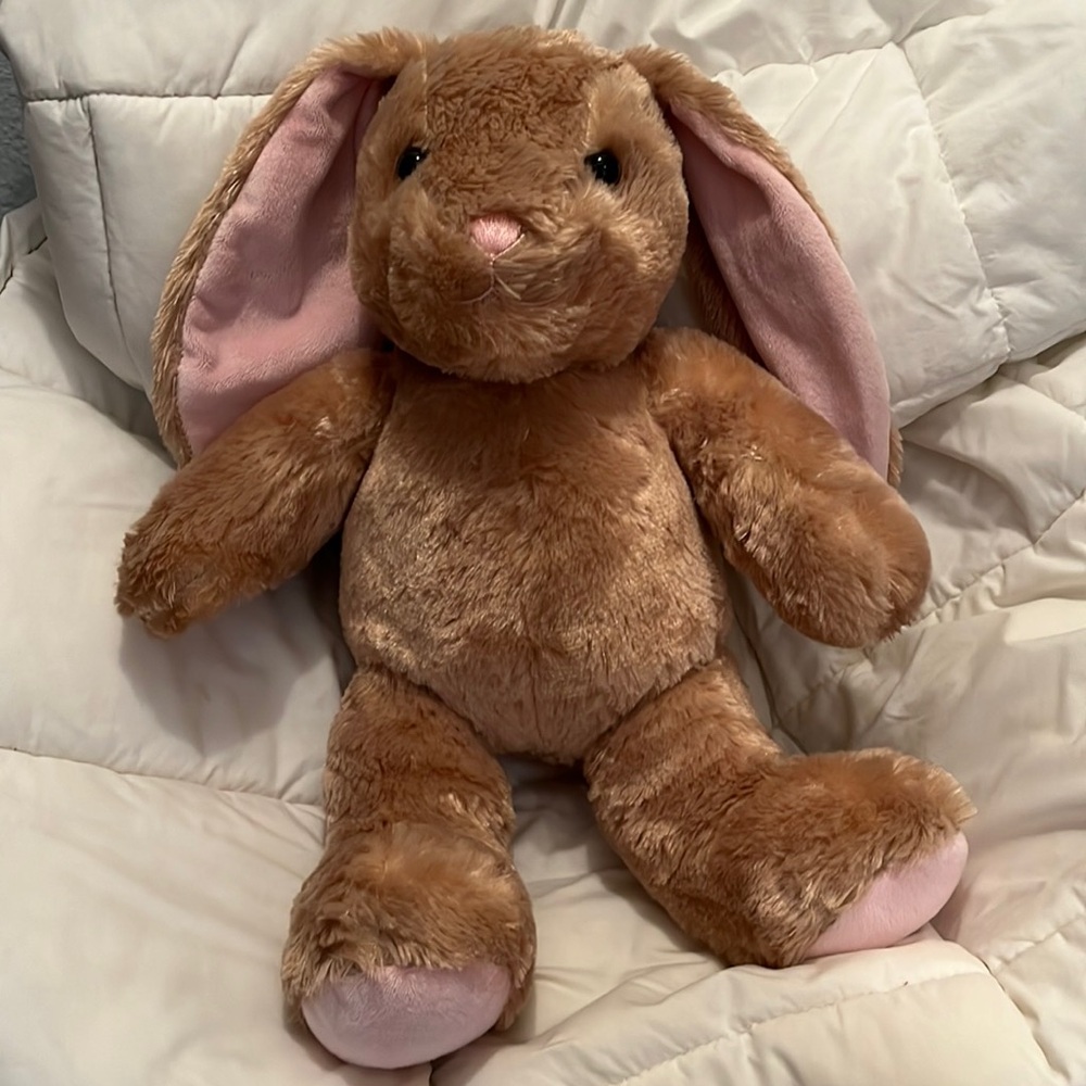 Build A Bear Pawlette Bunny Plush